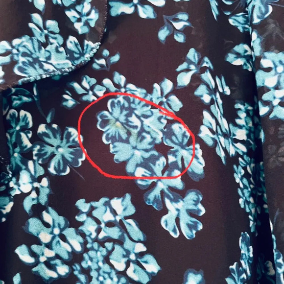 Saloni Izzie Dress Maxi Silk Chiffon Floral Print Semi Sheer Long Sleeve Size 2 - Picture 6 of 15